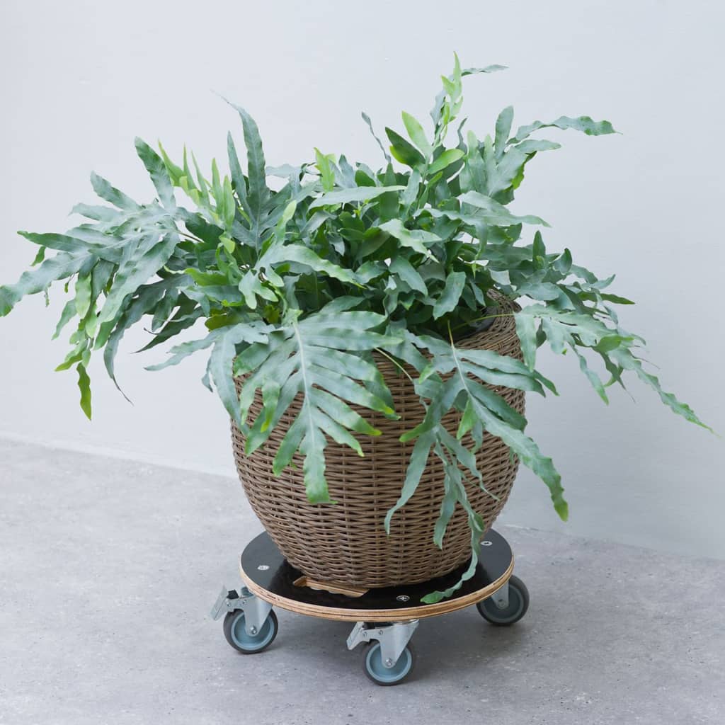 Nature Plant Trolley Round Ì÷38cm Black Wood