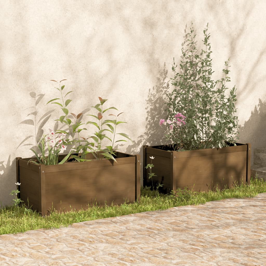 vidaXL Garden Planters 2 pcs Honey Brown 100x50x50cm Solid Pinewood