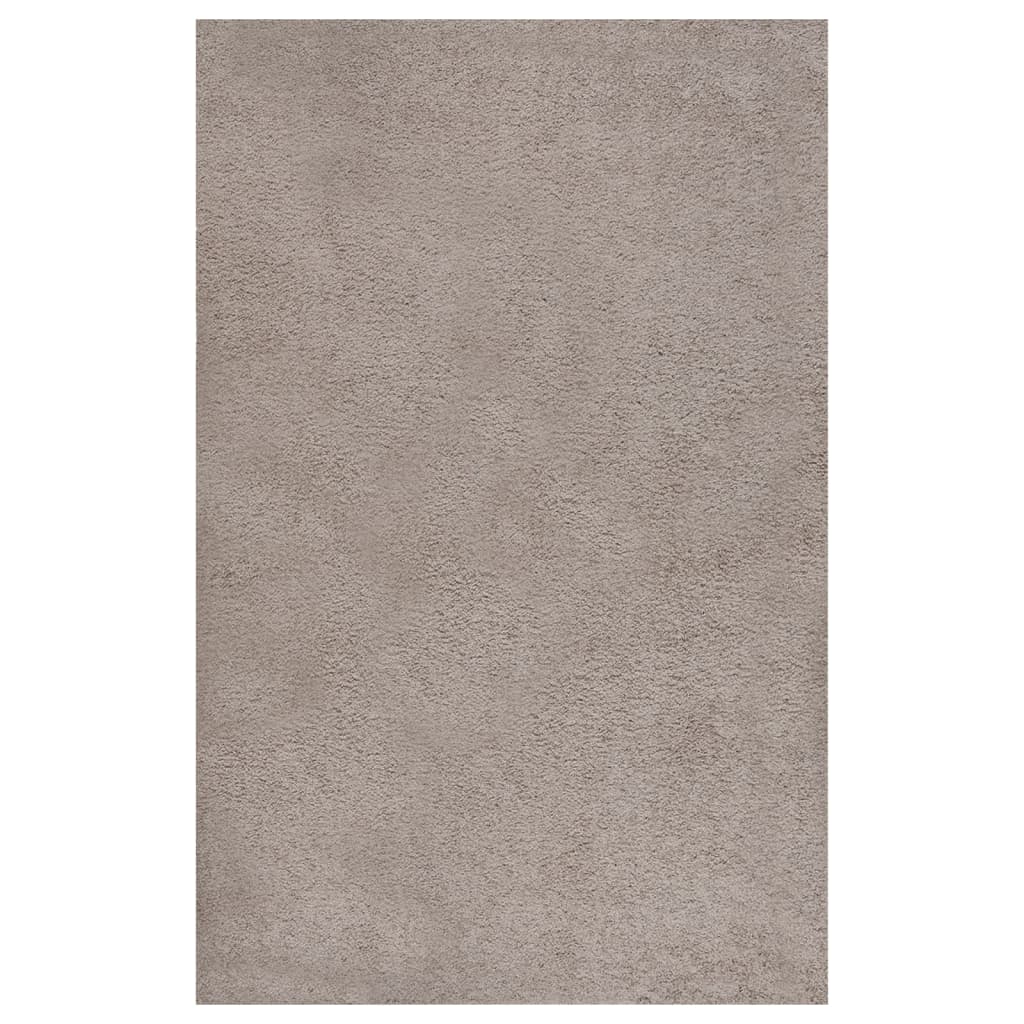 vidaXL Shaggy Rug High Pile Beige 200x290 cm