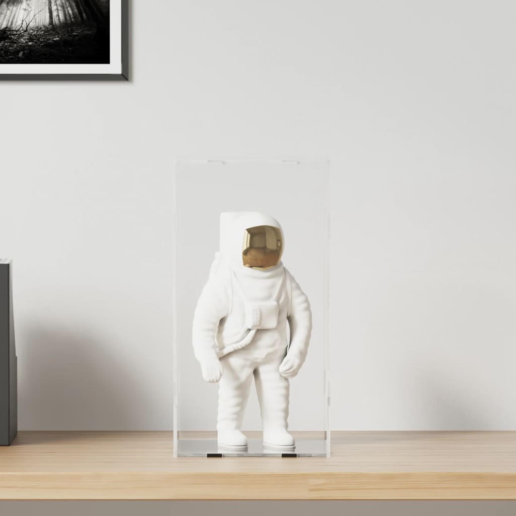 vidaXL Display Box Transparent 20x20x38 cm Acrylic