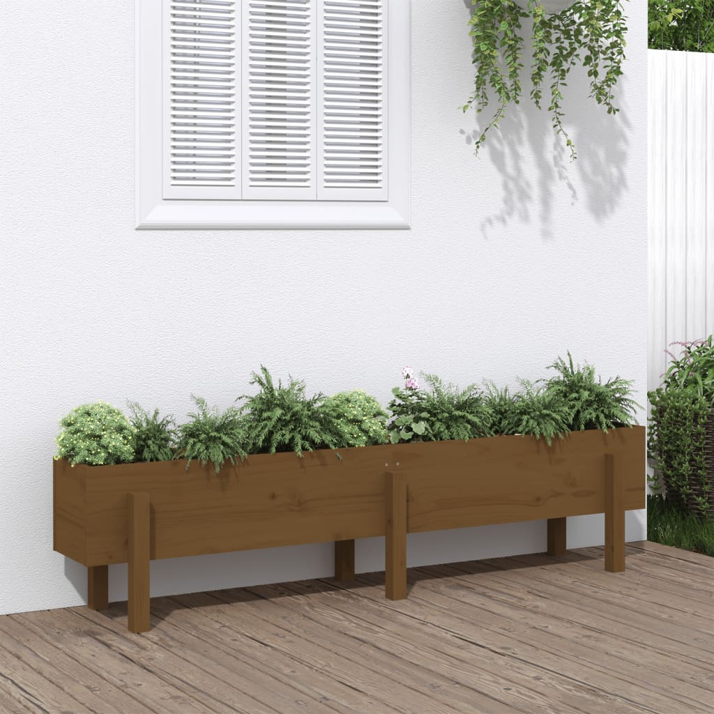 vidaXL Garden Raised Bed Honey Brown 160x30x38 cm Solid Wood Pine