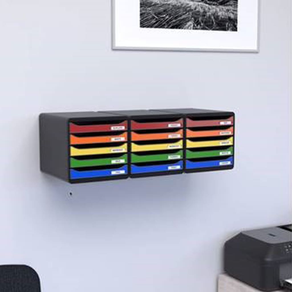 Exacompta Big-Box Plus Desktop Drawer Set Harlequin with 5 Drawers