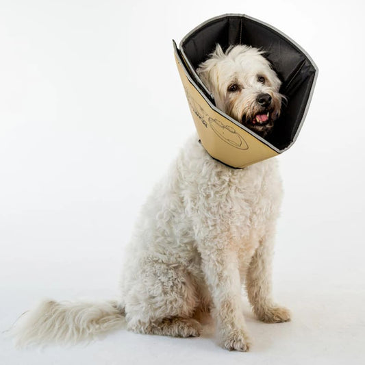 All Four Paws Pet E-collar Comfy Cone L 25 cm Tan