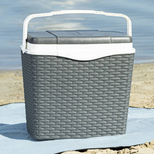 HI Cooling Box with Handle 24 L Plastic Anthracite