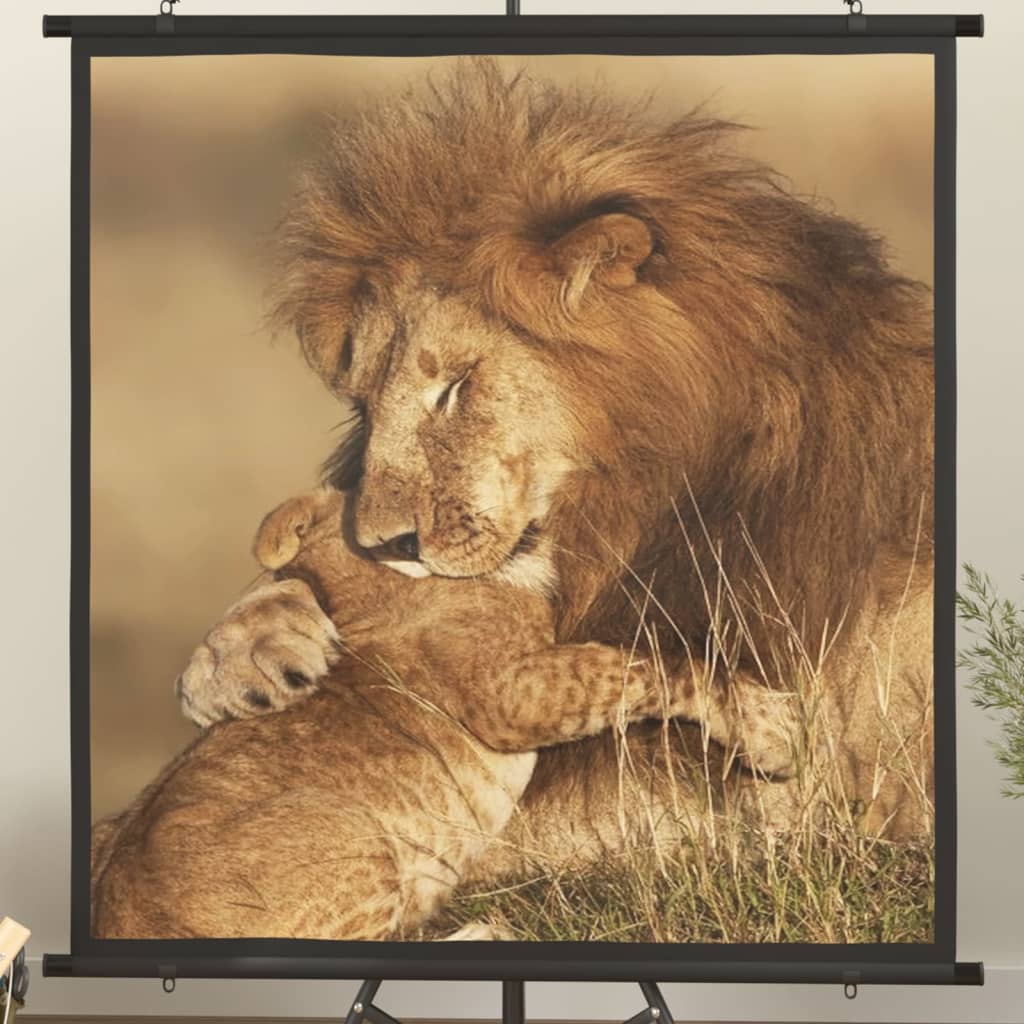 vidaXL Projection Screen 47" 1:1