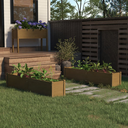 vidaXL Garden Raised Beds 2 pcs Honey Brown 150x31x31cm Solid Pinewood