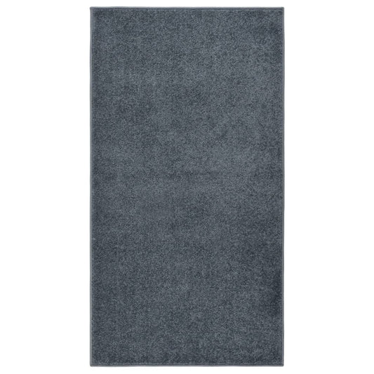 vidaXL Rug Short Pile 80x150 cm Anthracite