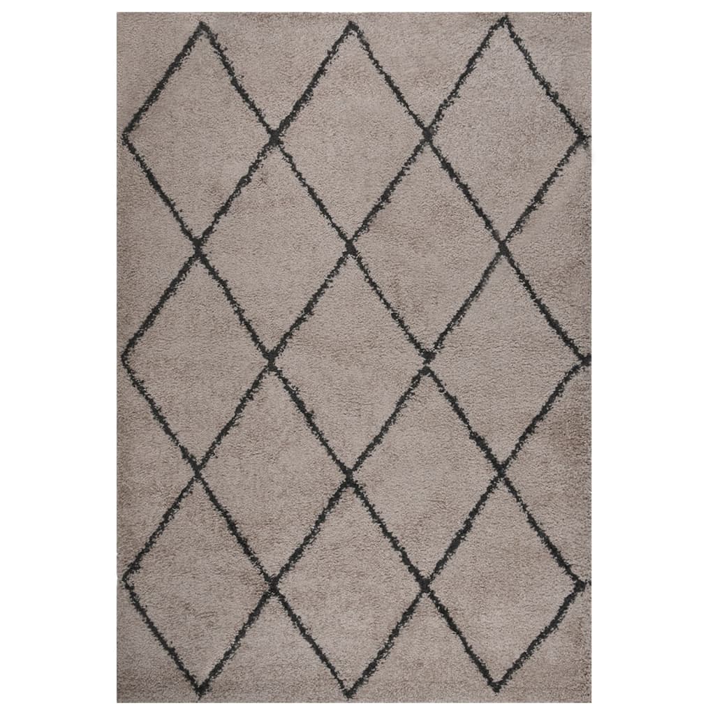 vidaXL Shaggy Rug High Pile Beige and Anthracite 160x230 cm