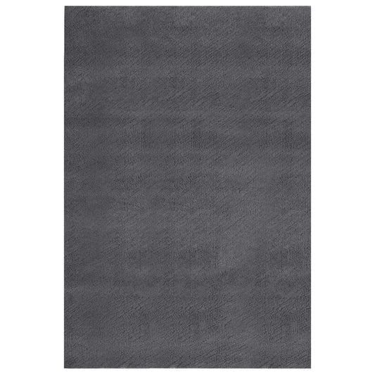 vidaXL Washable Rug Soft Shaggy 200x290 cm Anti Slip Anthracite