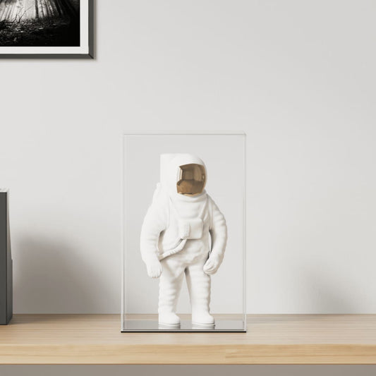 vidaXL Display Box Transparent 22x18x35 cm Acrylic