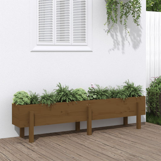 vidaXL Garden Raised Bed Honey Brown 160x30x38 cm Solid Wood Pine