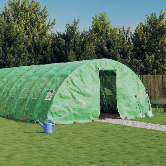 vidaXL Greenhouse with Steel Frame Green 30 må_ 6x5x2.3 m