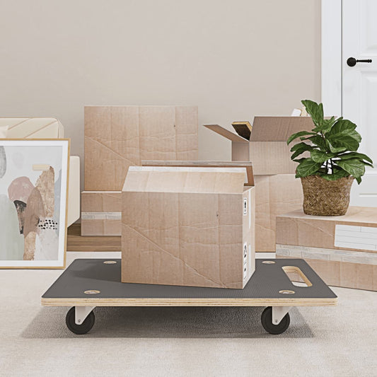 vidaXL Dolly Trolleys 2 pcs Rectangular 80x55x11.5 cm