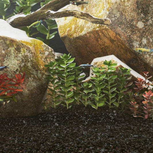 vidaXL Aquarium Sand 25 kg Black 0.2-2 mm
